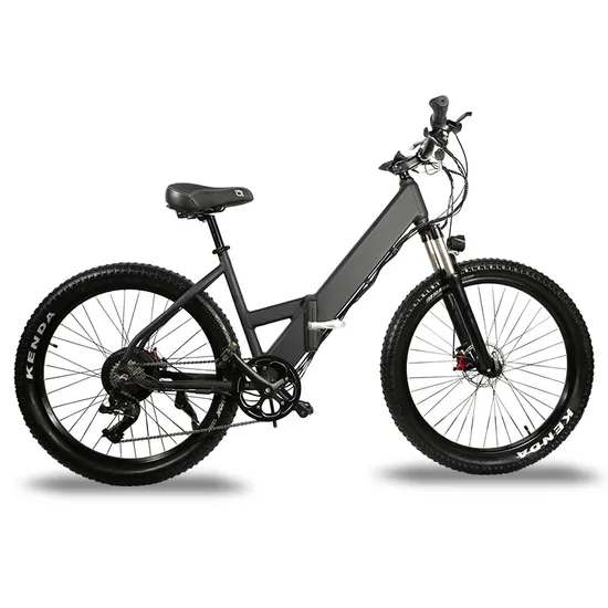14ah Elektrofahrrad Mountainbikes Elektrobatterie 48V 1000W E Fahrrad OEM